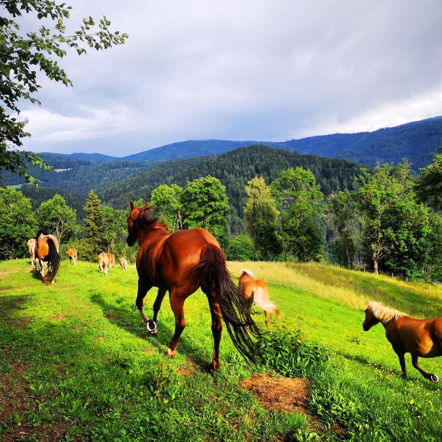 Erlebnisbauernhof Gutschi Ranch Kamp Ngoại thất bức ảnh