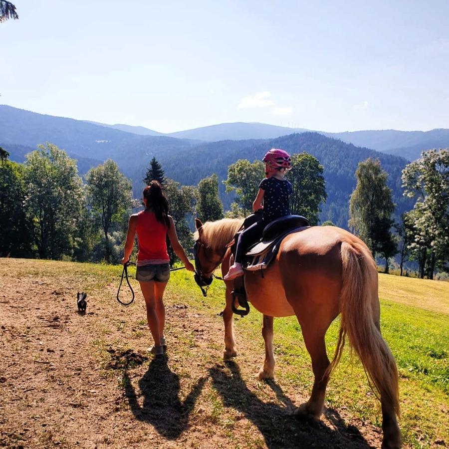 Erlebnisbauernhof Gutschi Ranch Kamp Ngoại thất bức ảnh