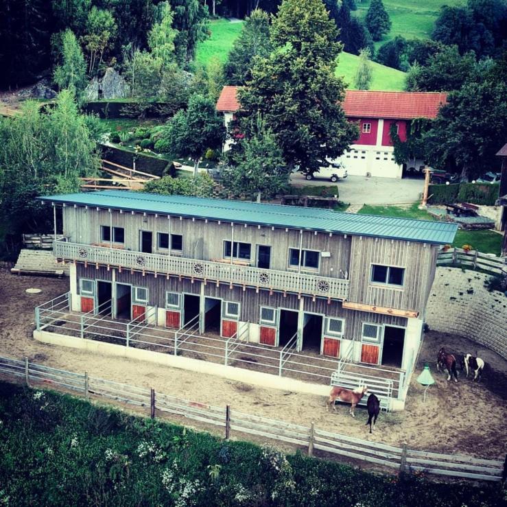 Erlebnisbauernhof Gutschi Ranch Kamp Ngoại thất bức ảnh