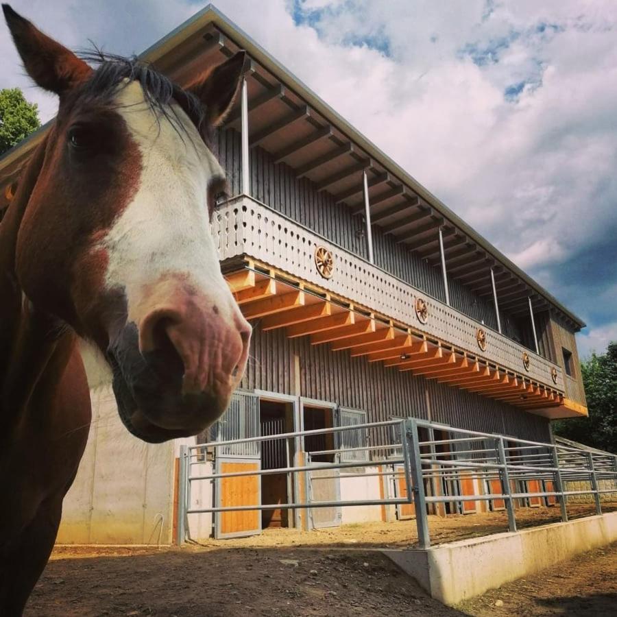 Erlebnisbauernhof Gutschi Ranch Kamp Ngoại thất bức ảnh