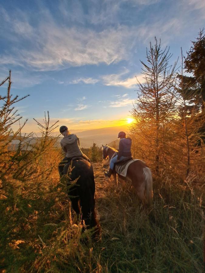 Erlebnisbauernhof Gutschi Ranch Kamp Ngoại thất bức ảnh