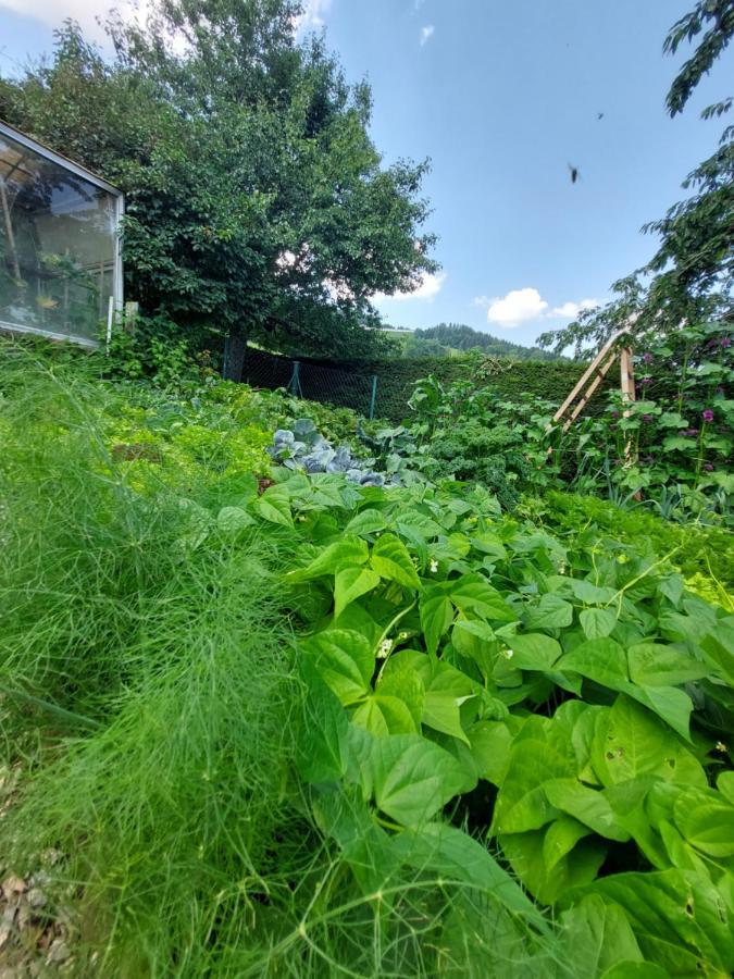 Erlebnisbauernhof Gutschi Ranch Kamp Ngoại thất bức ảnh
