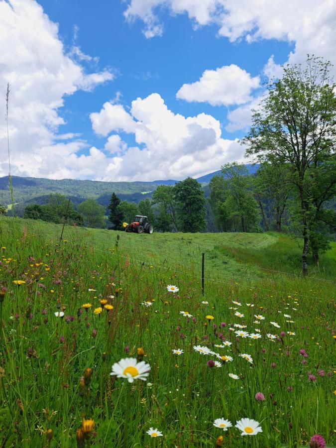 Erlebnisbauernhof Gutschi Ranch Kamp Ngoại thất bức ảnh