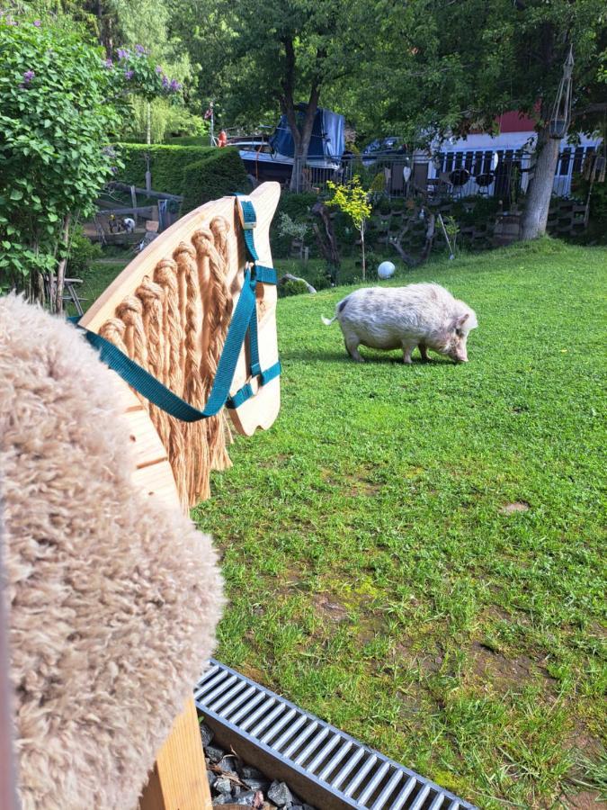 Erlebnisbauernhof Gutschi Ranch Kamp Ngoại thất bức ảnh