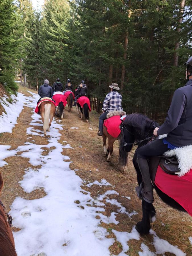 Erlebnisbauernhof Gutschi Ranch Kamp Ngoại thất bức ảnh